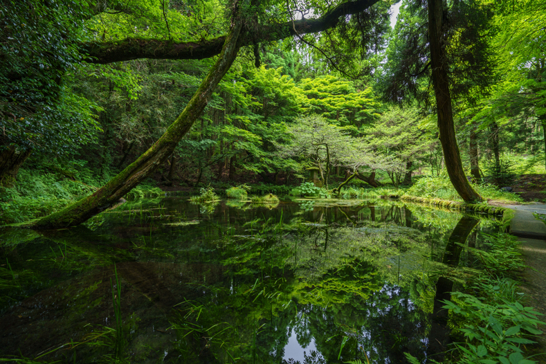 山吹水源